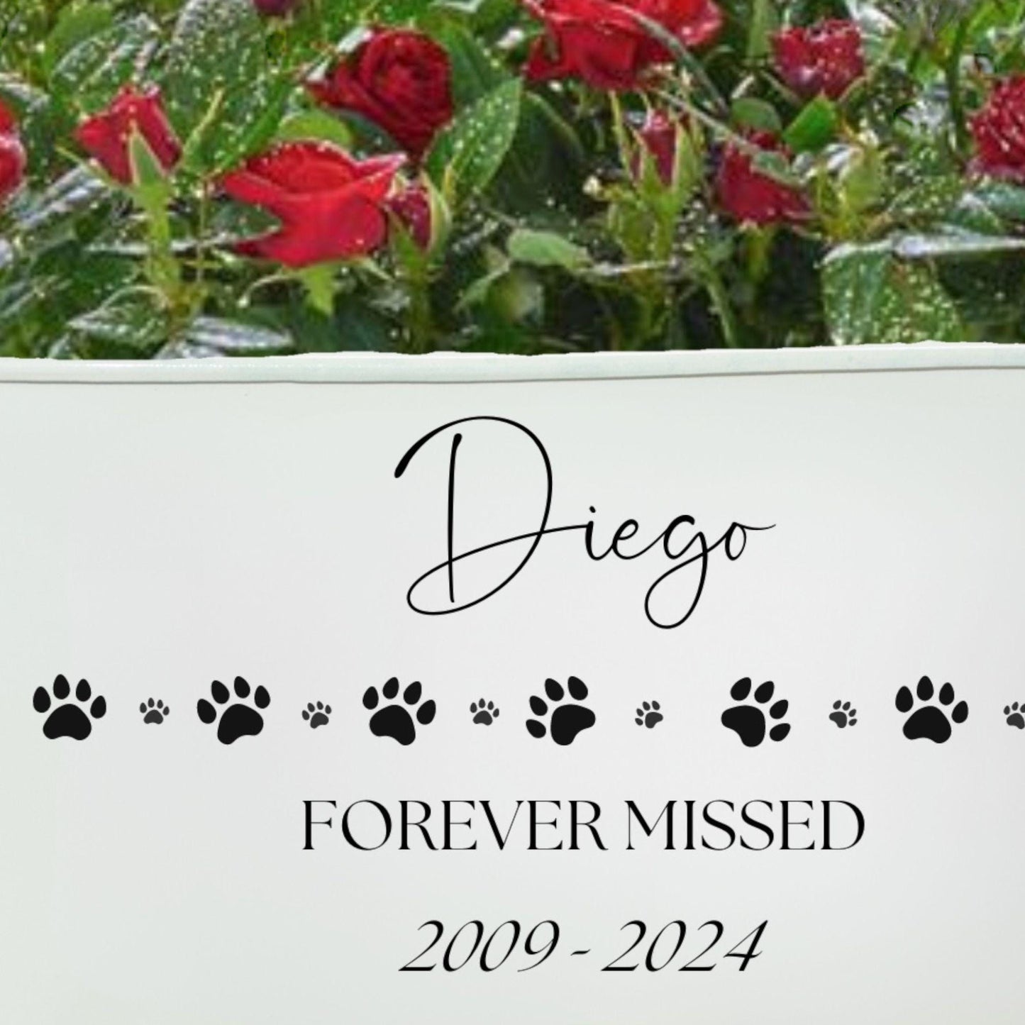 Personalised Pet Memorial Planter